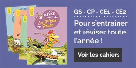 P'tites poules GS-CP-CE1-CE2 : pour s'entraîner et réviser toute l'année !